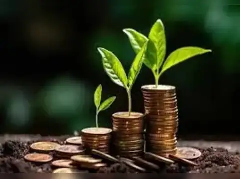 Sapphire Equity Long-Short SIF (by Franklin Templeton Mutual Fund)