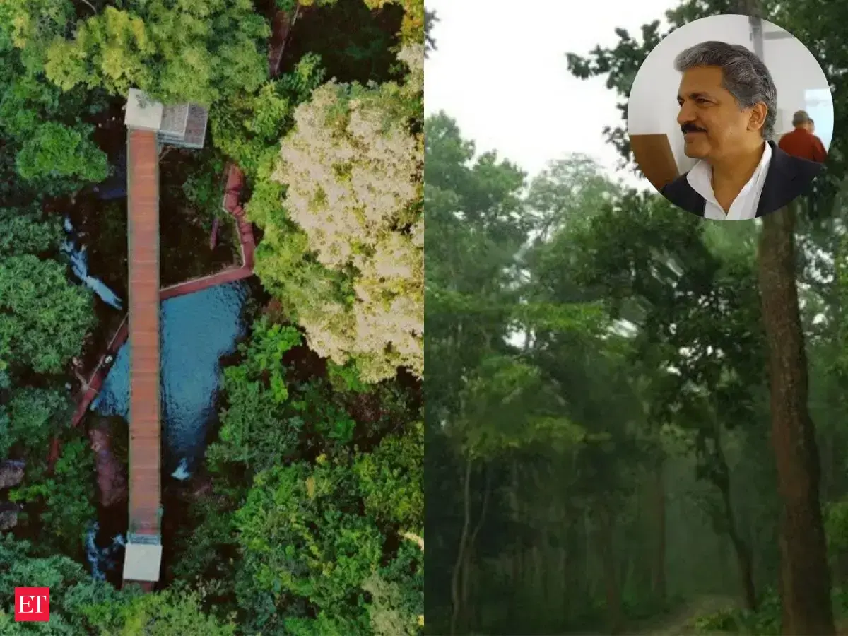 Anand Mahindra is in awe of Jharkhand’s hidden gem 'land of seven hundred hills', sitting 4,300 feet above sea level, reveals why it is perfect for offbeat travellers