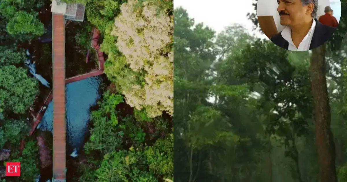 Anand Mahindra is in awe of Jharkhand’s hidden gem 'land of seven hundred hills', sitting 4,300 feet above sea level, reveals why it is perfect for offbeat travellers