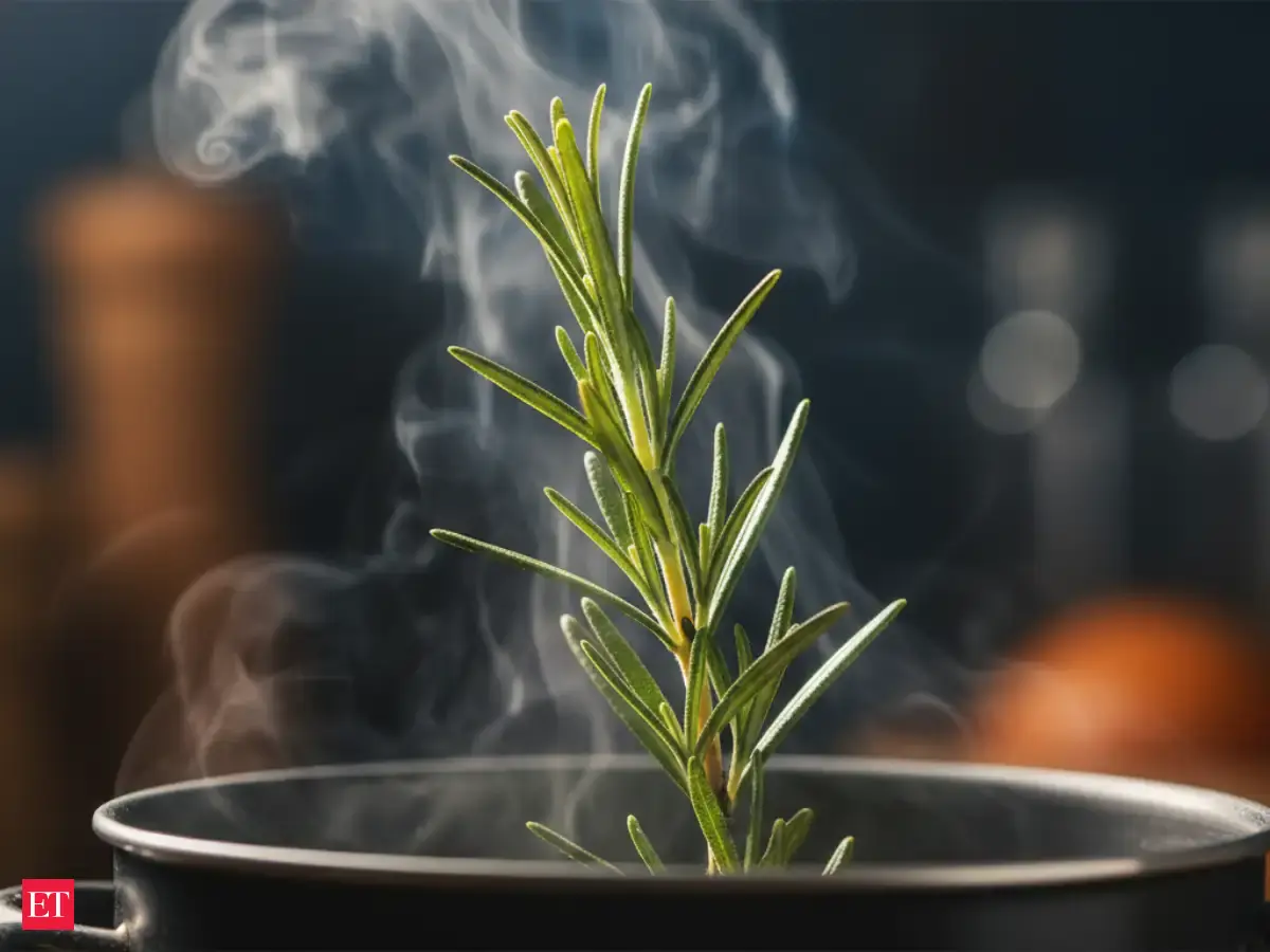 Boil This One Kitchen Herb for 10 Minutes, and Your Home Might Smell and Feel Completely Different