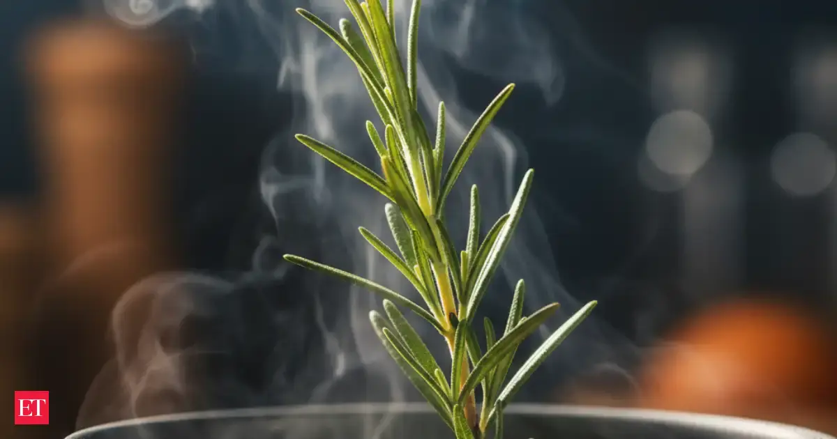 Boil This One Kitchen Herb for 10 Minutes, and Your Home Might Smell and Feel Completely Different