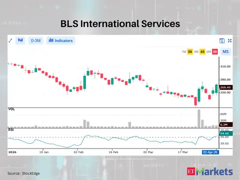 BLS International Services