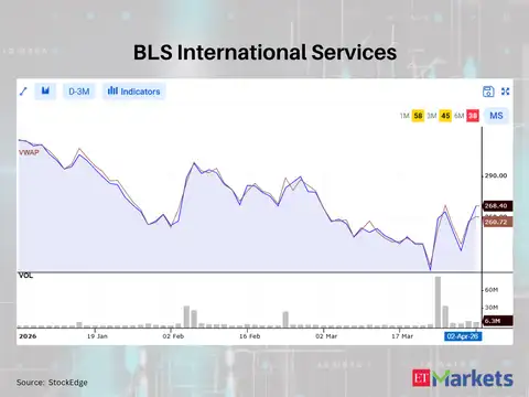 BLS International Services