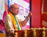 'Nation first, party next, self last': Amit Shah extends greetings on BJP's foundation day
