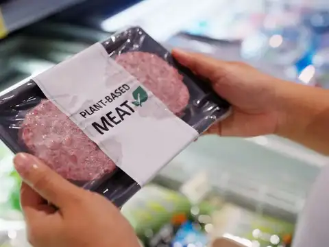 Processed Vegetarian "Meat" Alternatives