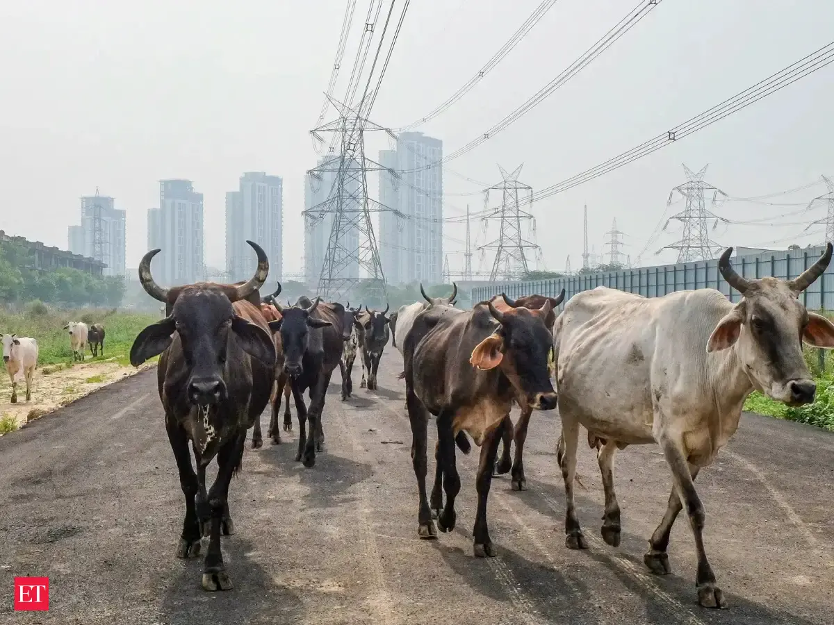 Supreme Court seeks response from Centre, others on plea to prevent cattle intrusion on highways