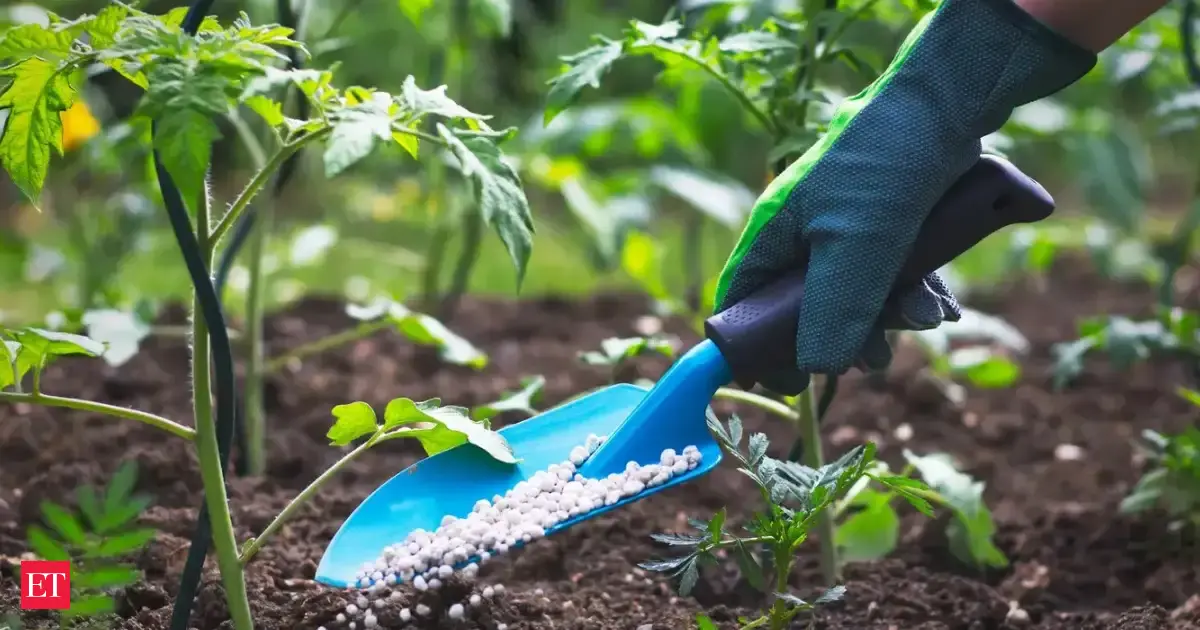 India seeks 2.5 million metric tons of urea amid Middle East supply disruptions