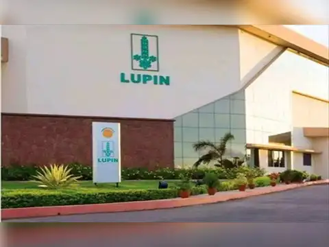 Lupin