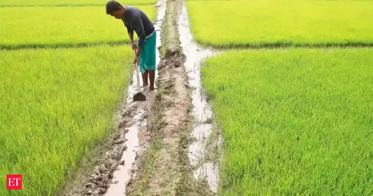 Top 10 per cent rural households control 44 per cent of land in India: Report