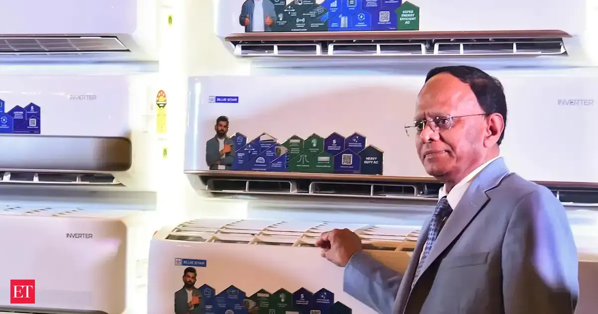 A 'tough summer' ahead for air-conditioning industry in 2026: Blue Star MD