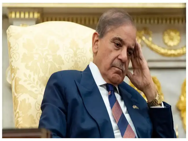 Shehbaz Sharif draft tweet