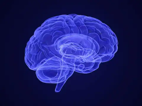Vasodilatory Headaches and "Brain Fog"