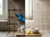 Mix These 3 Kitchen Ingredients for Grout in 15 Minutes &ndash; Your Tiles Can Look New Again