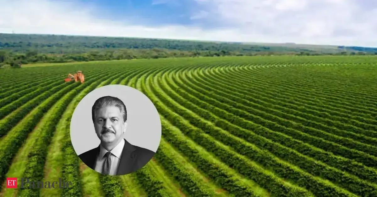 Anand Mahindra, among India's top 100 richest men, still gets emotional when it comes to coffee plants