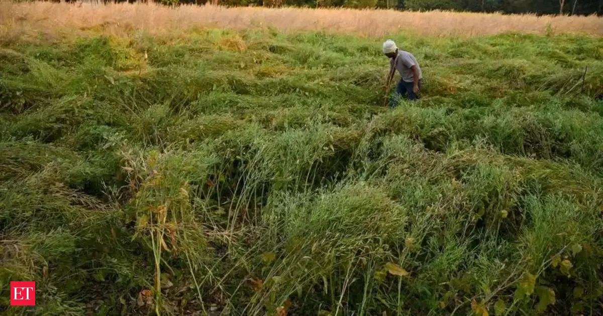 Abtak.com - Business - News Image