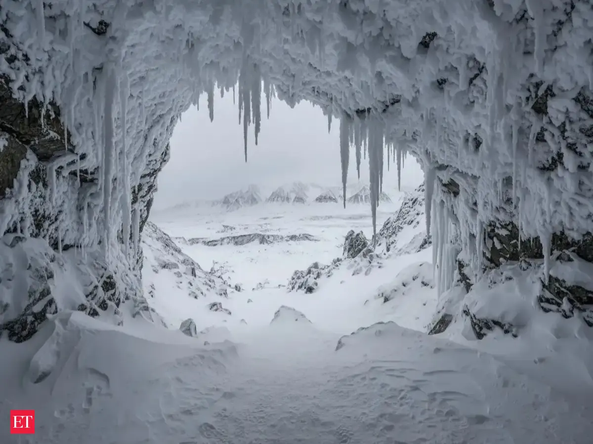 From Dirt to Discovery: How Cave Sediments Are Revealing Ice Age Species Without Bones