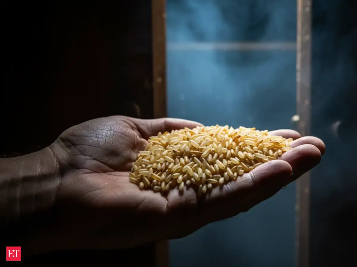 People Are Putting Rice in Their Closets for a Strange Reason, and It Might Actually Work