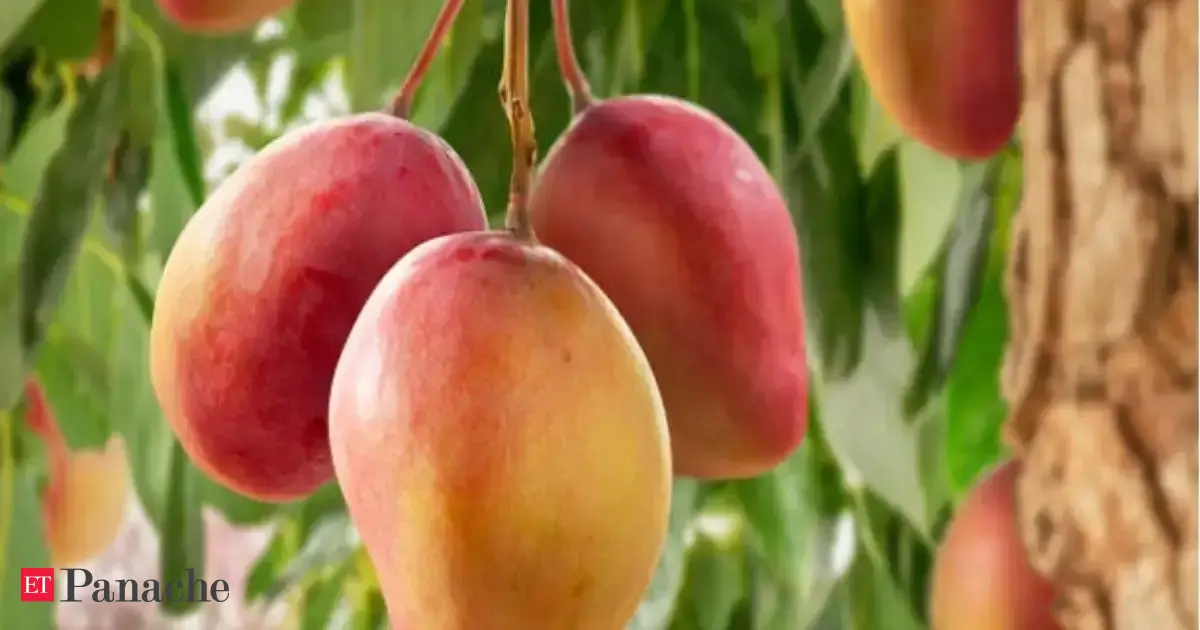 Food trees have great potential, but need skills to maintain them