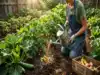 DIY Fertilizer: The Kitchen Ingredient That Makes Plants Explode With Life