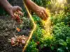 Most People Toss This Kitchen Scrap But Its Plant Gold That Can Boost Growth Fast