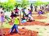 Kids give green look to Mysore by planting 350 saplings