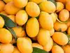 Mango season alert: How to check if your mangoes are naturally or chemically ripened