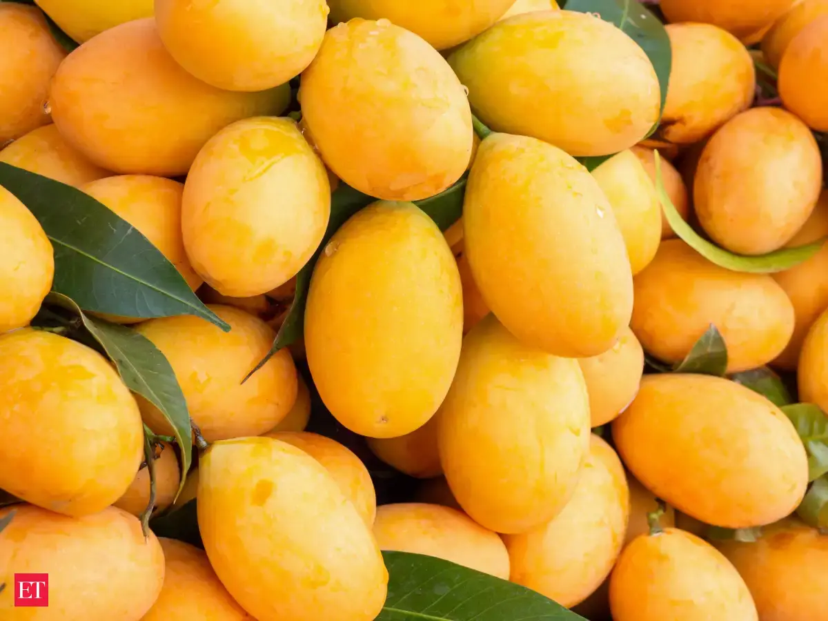 Mango season alert: How to check if your mangoes are naturally or chemically ripened