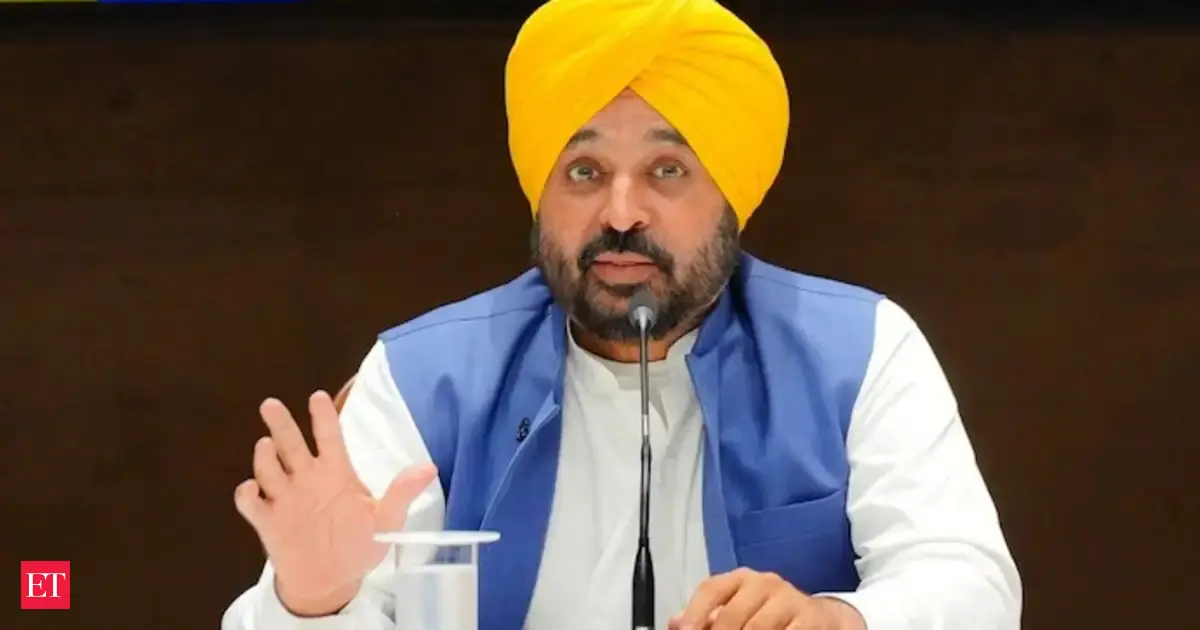 Boat tragedy: Punjab CM Mann questions lack of safety, says will speak to UP govt to curb such incidents