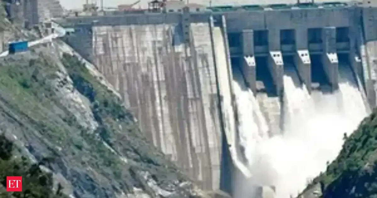 After 7 years, work restarts on India-funded Bhutan hydro project