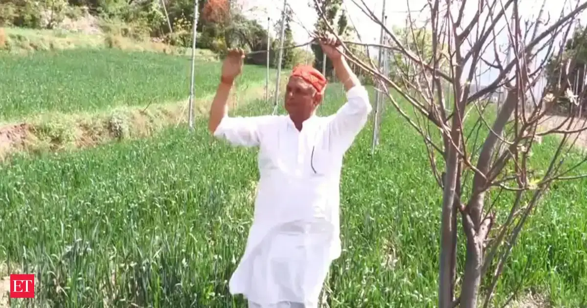Jammu and Kashmir: 60-year-old farmer transforms six kanals into thriving apple hub