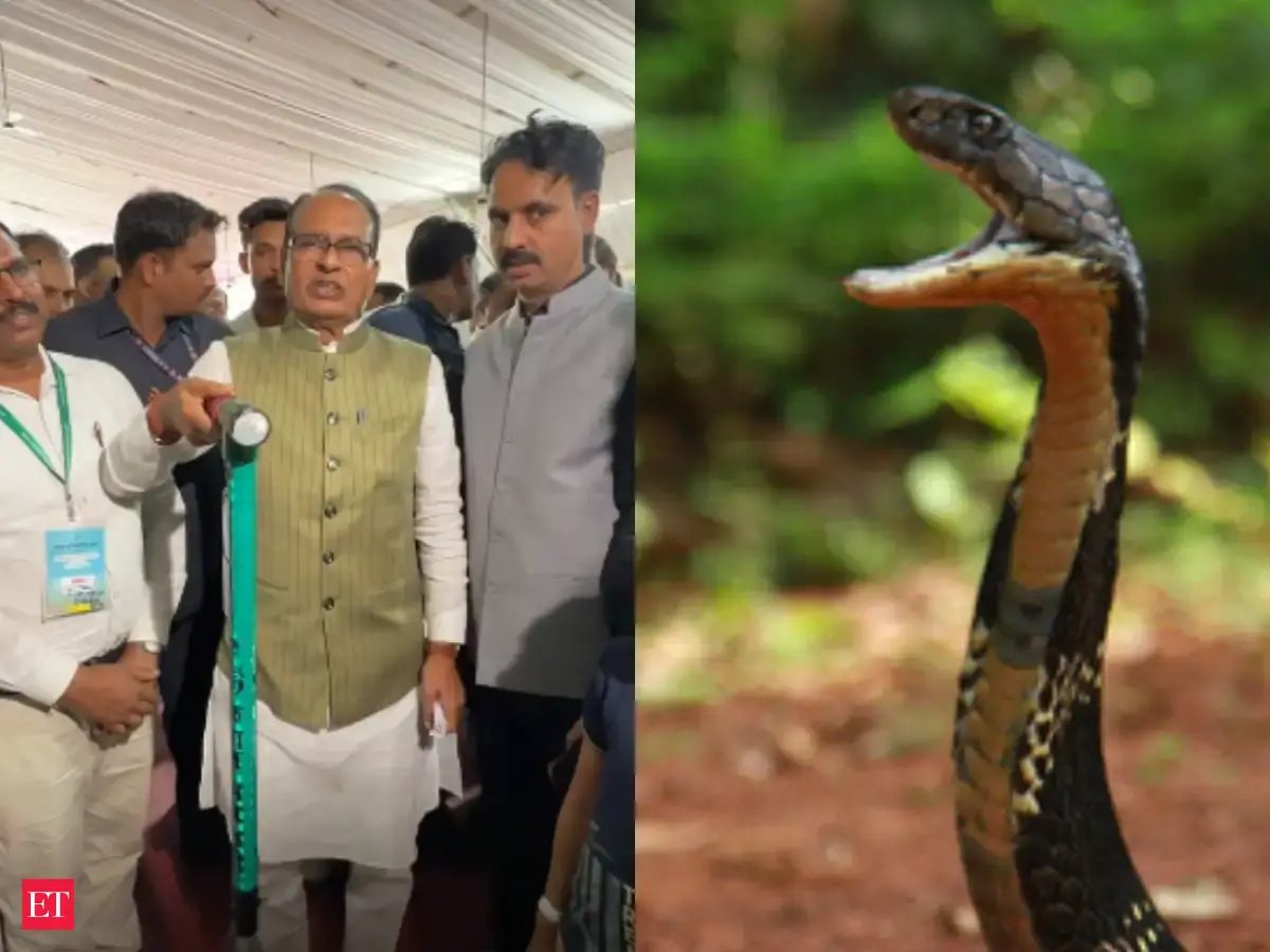 Kisan Mitra Chhadi: Anti-snake vibration stick unvieled by the Union Agriculture minister that protect farmers from deadly bites