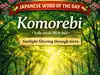 Japanese word of the day &lsquo;Komorebi&rsquo;: This quiet Japanese word might become your new daily motivation