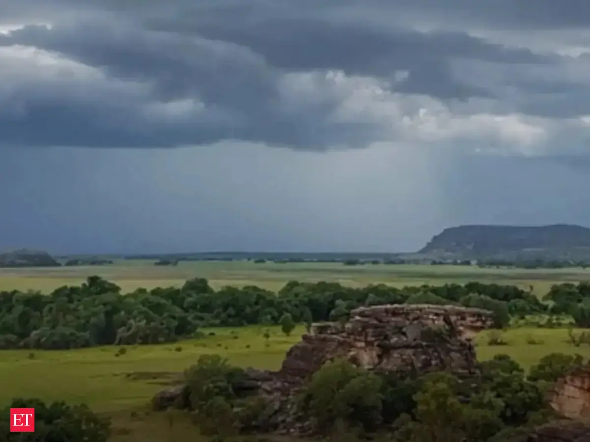 Four men charged over theft of hundreds of crocodile eggs from Kakadu National Park after intense police probe