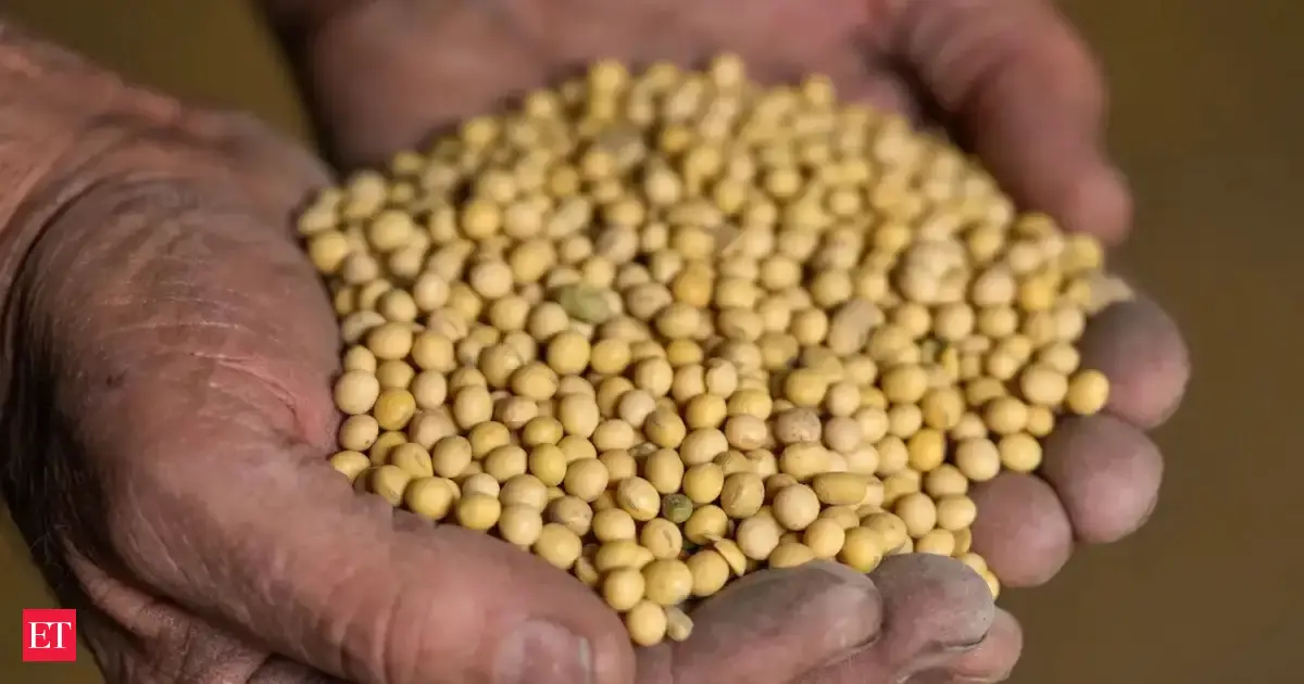West Asia conflict: India's soybean meal exports fall 63% — GLOBAL — ERYU PROJECT