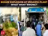 Vedanta plant blast: 17 killed, ₹35 lakh aid announced for families