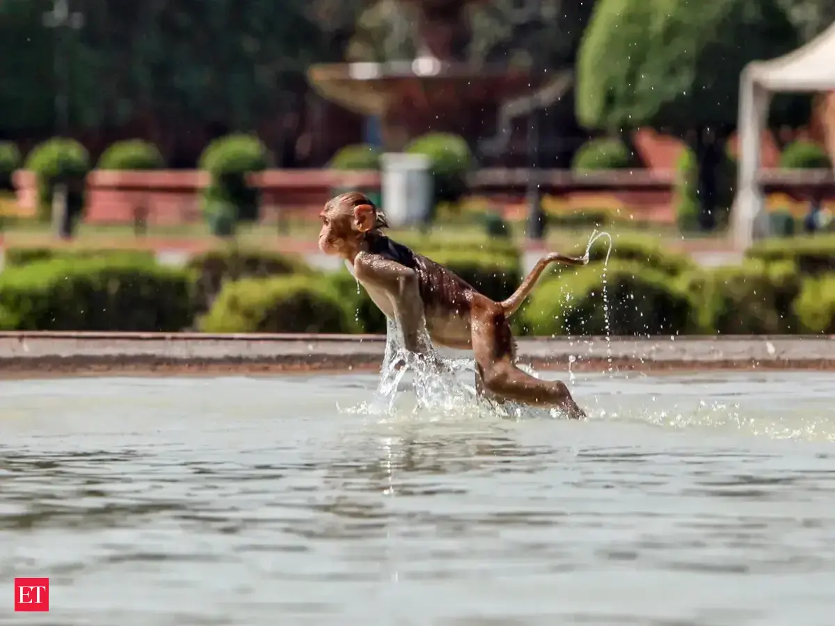 Delhi temp to touch 42 degrees this week: IMD
