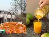 Fake mango alert: 3,800 kg of chemically made pulp seized in Pune. Know side effects & how to identify artificially ripened aam at home