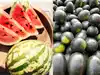 Striped vs Unstriped Watermelon: Which is healthier and which one should you pick this summer?