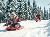 Russian Proverb of the day: 'If you like to sled, you have to like to drag the sledge'-A Russian proverb that challenges your definition of success