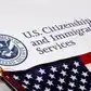 Image for US immigration agency interim head Todd 
