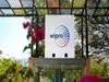 Wipro promoters to join Rs 15,000 cr buyback. What it means for retail investors