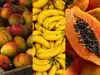 Mangoes, bananas, papayas under watch: FSSAI crackdown begins over illegal 'masala' use for ripening; What India&rsquo;s top food regulator is warning