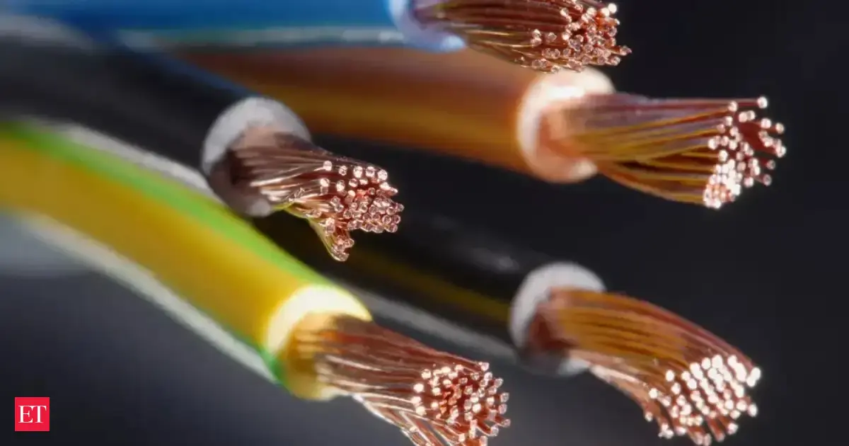 Finolex Cables looking to increase its North East presence driven by govt's infra, electrification push