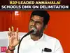 &lsquo;Doing drama...&rsquo;: Tamil Nadu BJP leader Annamalai schools DMK on delimitation, targets women stance