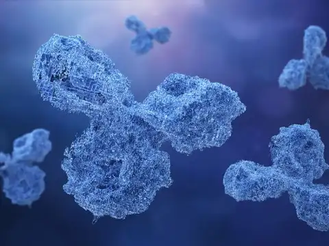 Those with Autoimmune Conditions