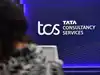 TCS Nashik case: IT giant denies Nida Khan held HR role, appoints Deloitte, law firm to assist internal probe