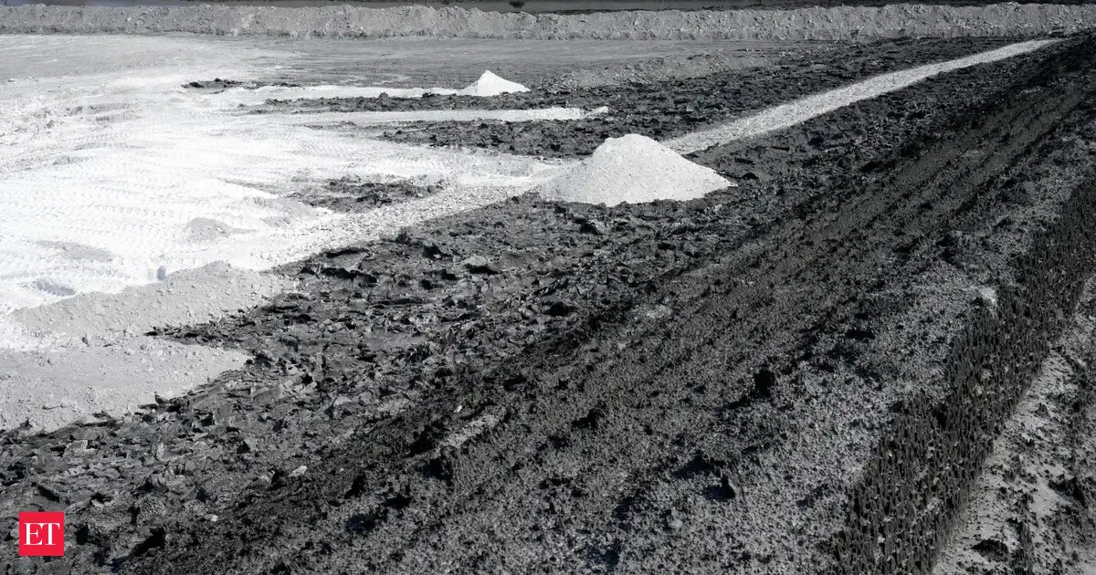 US backs a South Africa project to extract rare earths despite a diplomatic clash