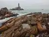 Kanyakumari turns into rare national battleground as Congress, BJP, TVK lock horns