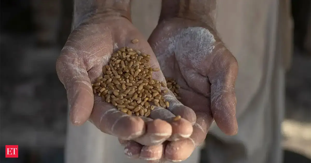 Pakistan: Economic challenges arise for farmers, labourers as modern harvesting techniques enter farms — GLOBAL — ERYU PROJECT