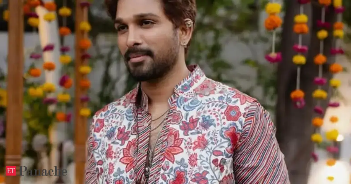 No fixed salary, Rs 460 crore empire: How Pushpa star Allu Arjun became one of India’s highest-paid actors